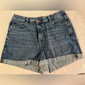American Eagle High Waisted Mom Shorts, medium wash, Size 12